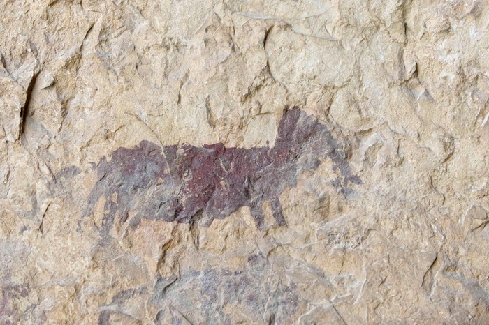 The Cueva-sima de la Serreta, Cieza