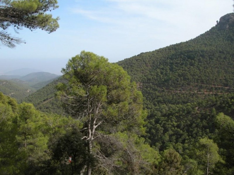 Ricardo Codorníu visitors centre, Sierra Espuña