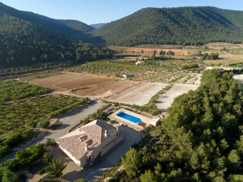 Affordable wine experiences, honey tastings, horse riding and more rural tourism in Bullas from Guatazales